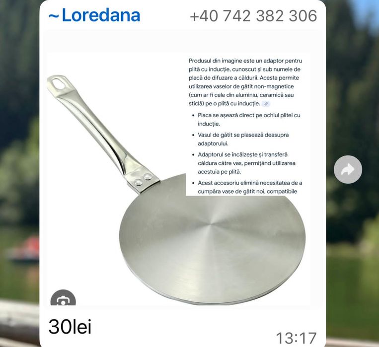 Placa plita inductie