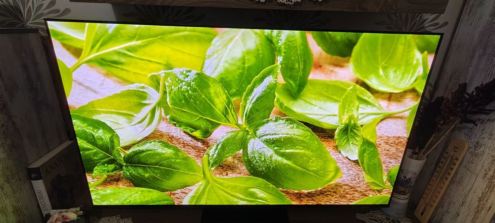 Samsung Oled  55S90C  138cm impecabil!