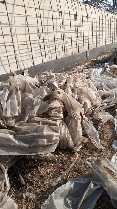 Салафан сотаман парникники