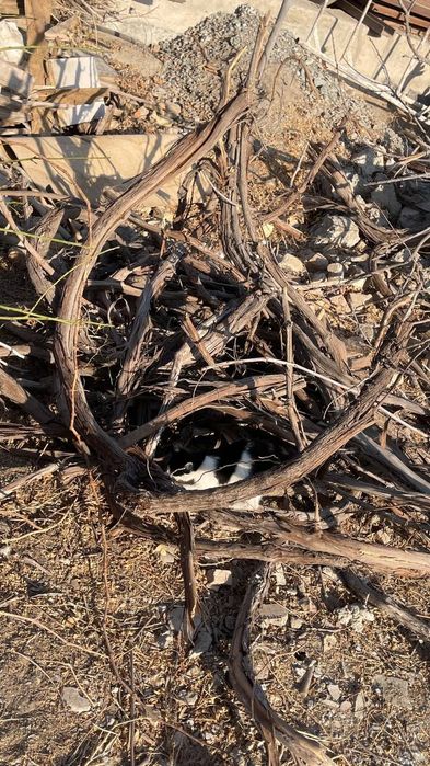 Отын бар 26 мкрда