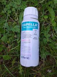 Insecticid Floramite 240 SC / Capella 240 SC / 240g/L Bifenazate