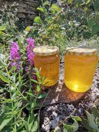 Vând miere de albine 100% naturala - 15 lei/kg