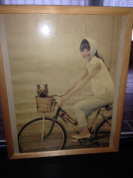 Картина Одри Хепберн с Йоркширским терьером