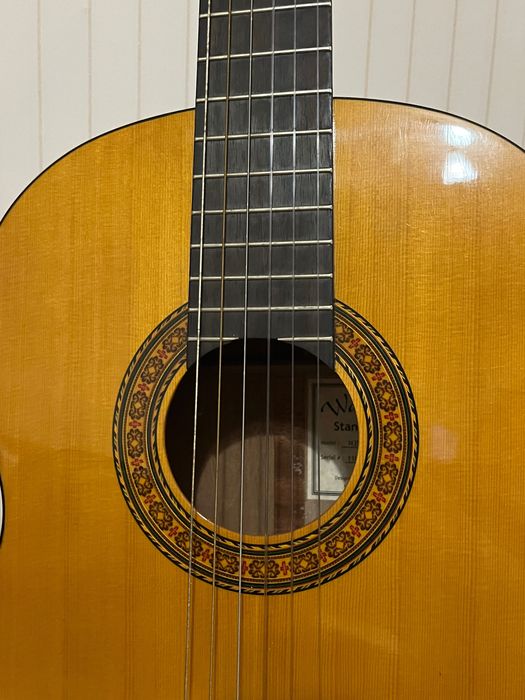 Акустична китара Walden Standard N350 E + калъф