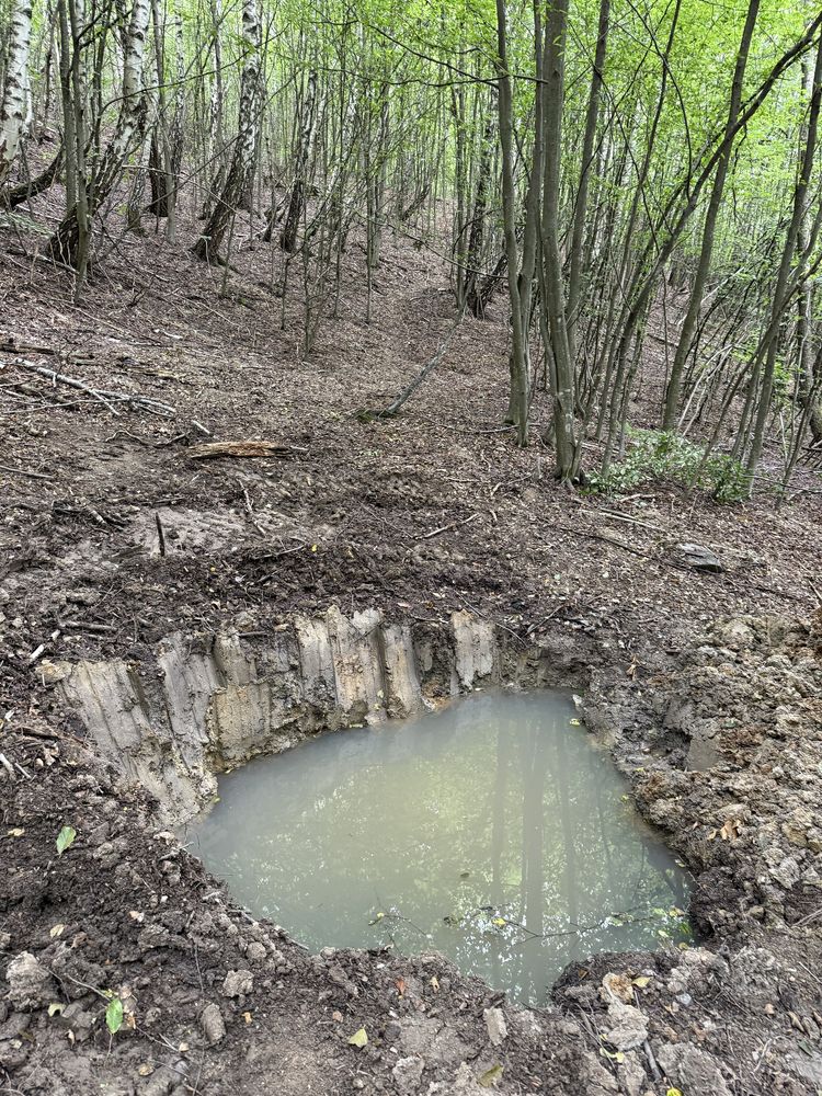 vand teren la munte Bulz Munteni 10.5 hectare