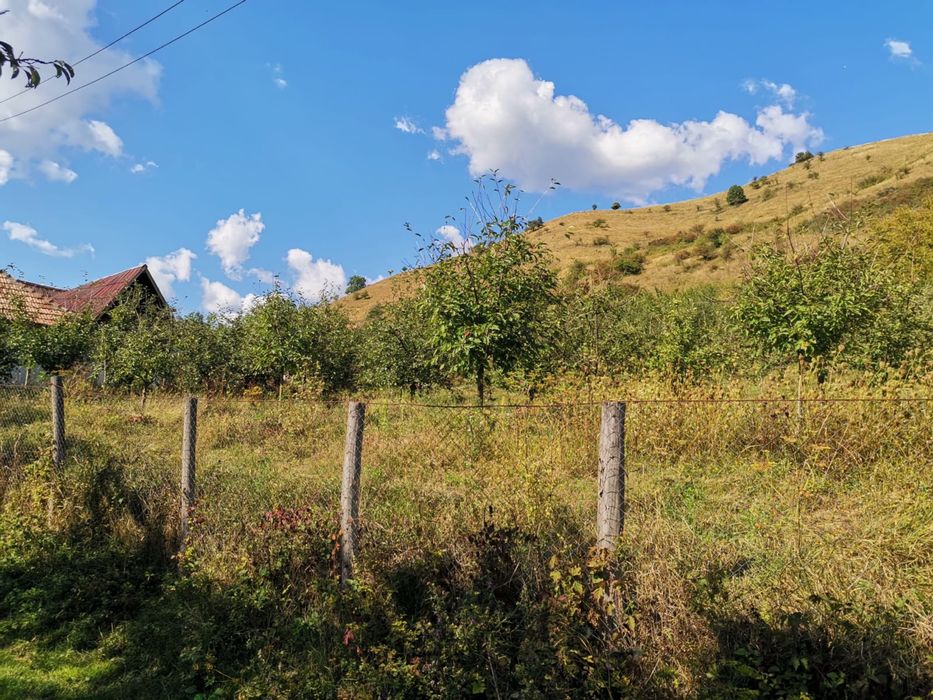 Livada in Fizesul Gherla cu 270 pomi fructiferi