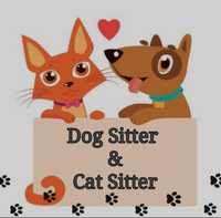 Pet Sitter - Cat & Dog Sitting
