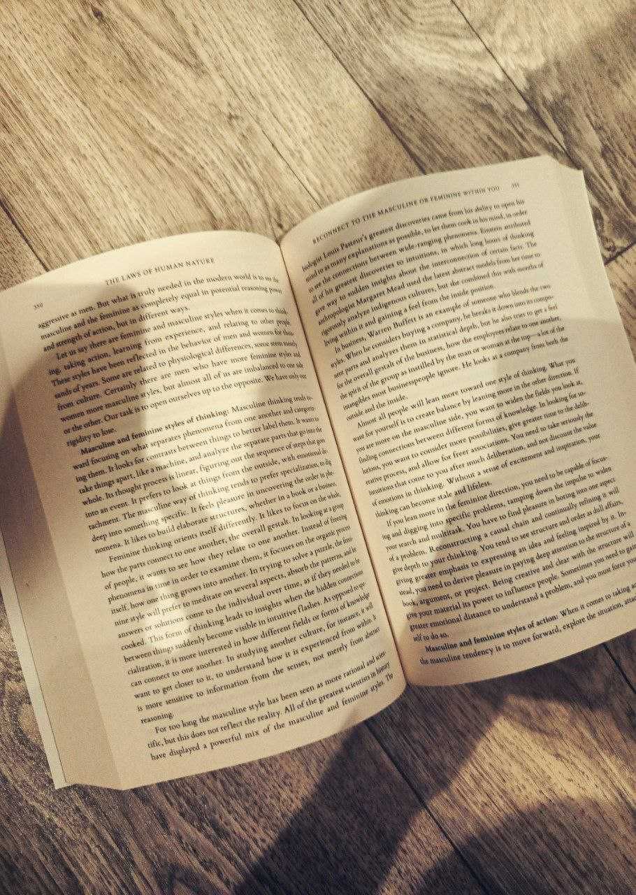 48 LAWS of Power (original)