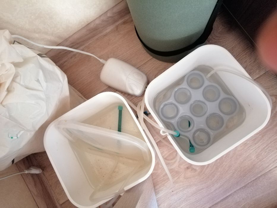 Продам гидропоника для проращивания зелени дома