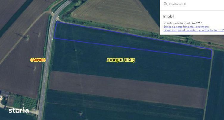 Cota de 5/24 din teren extravilan Carpinis, judetul Timis;