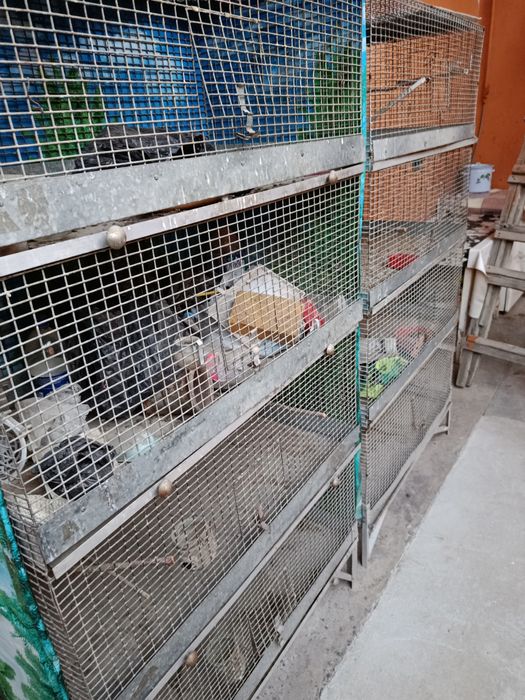 Клетка ССР сетка