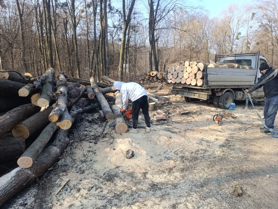 Transport lemne pentru foc