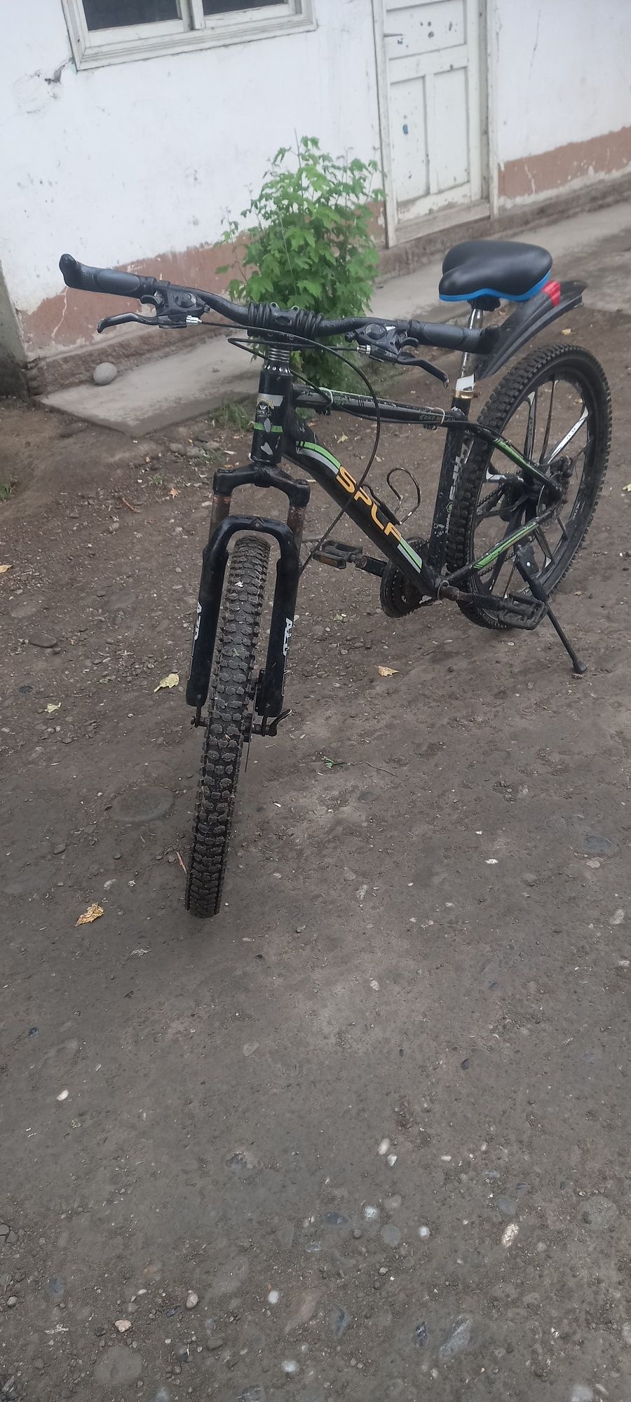 Spartivni Vellik