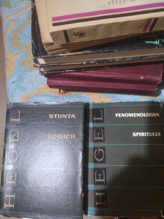 Vand doua carti scrise de Hegel