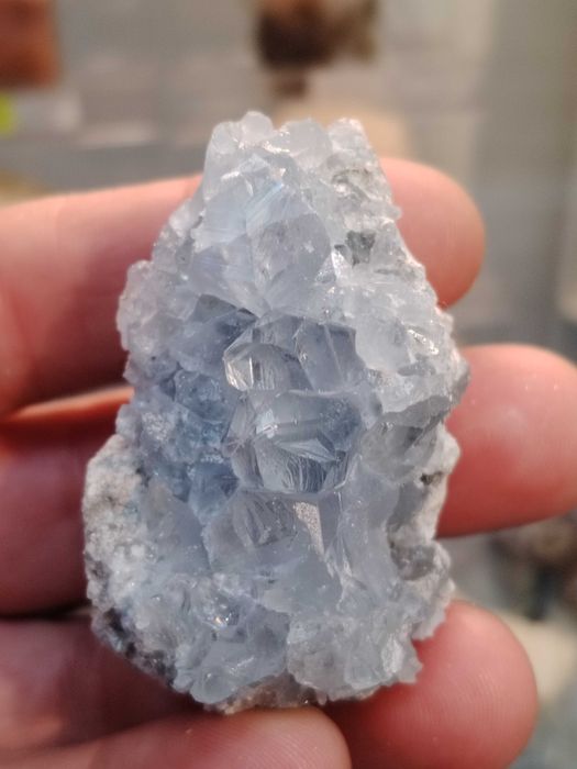 Целестин от Мадагаскар