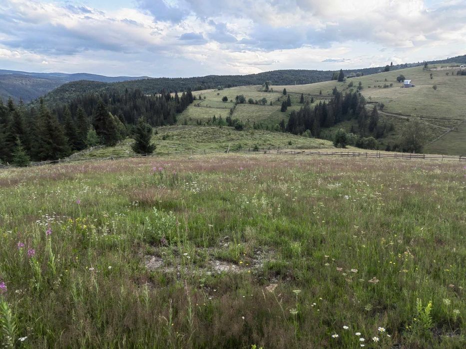Teren la munte sat Maguri