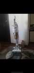 Aspirator vertical cu abur ROWENTA