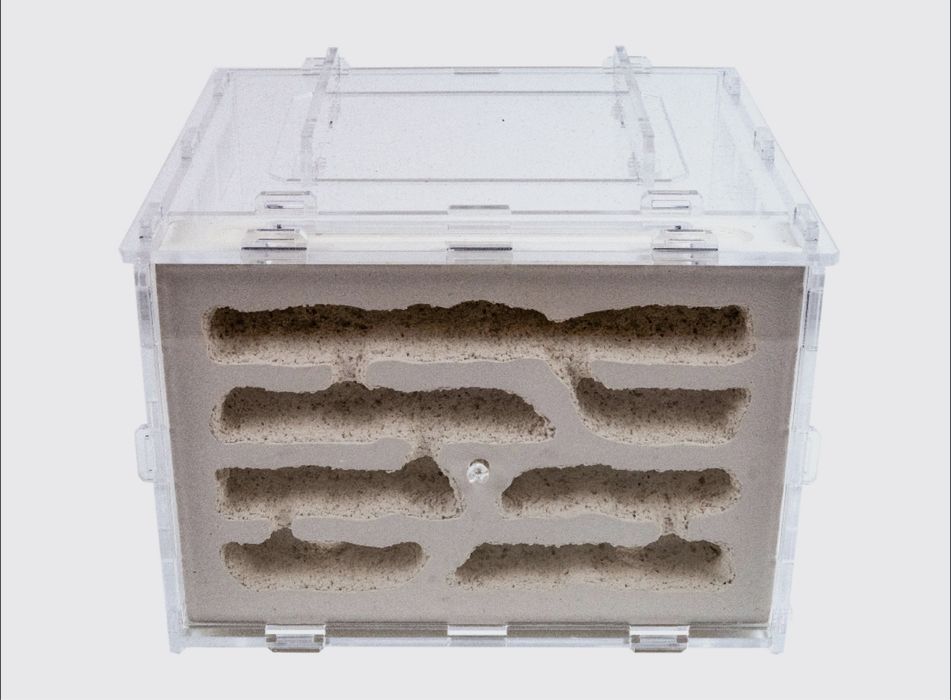 Формикарий Белый дом