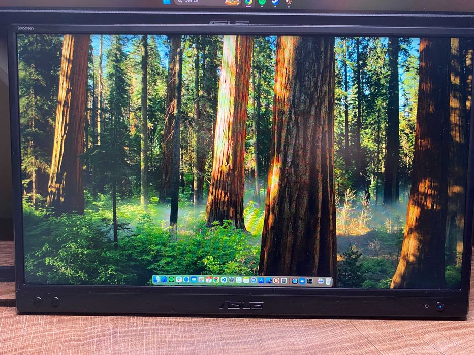 ASUS ZenScreen MB166CR Portable в гаранция