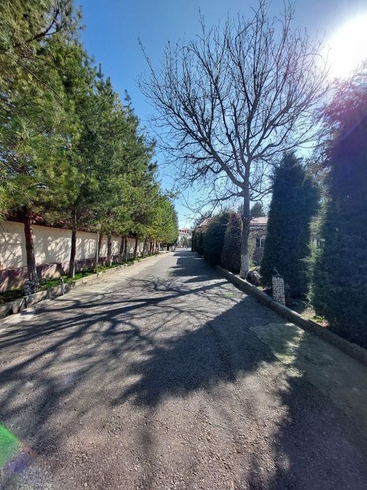 Продажа Зона Отдыха Кибрай 1 - Линия