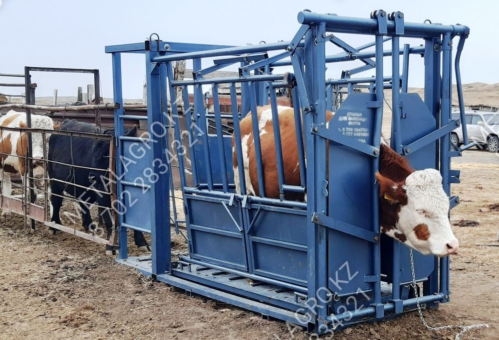 Фиксатор Раскол для КРС и лошадей