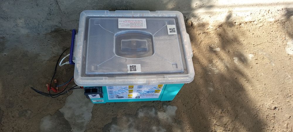 Nest inkubator sotladi