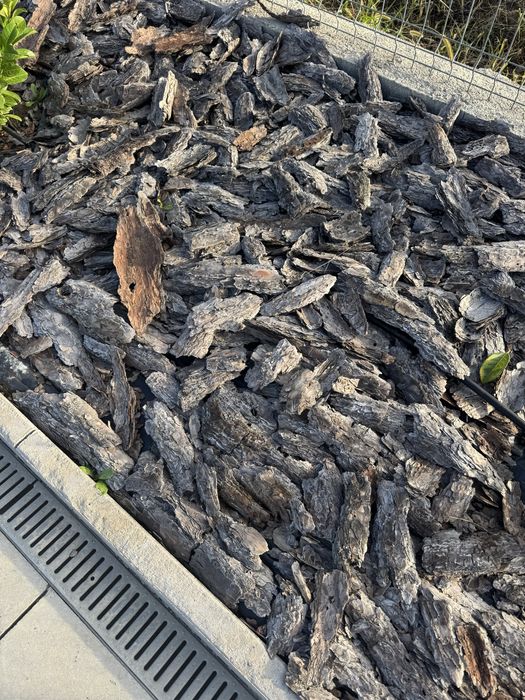 Scoarta  decorativa curti gradini , pin natural