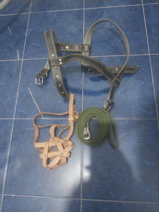 Намордник поводок шлейка для собаки