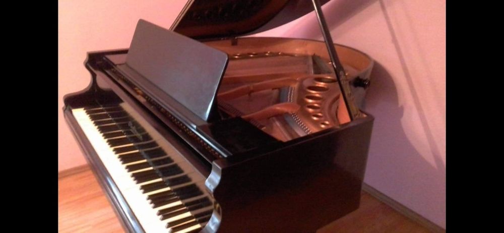 Pian cu coadă scurtă Karl Hofmann de colectie ,seria 3246 din 1876