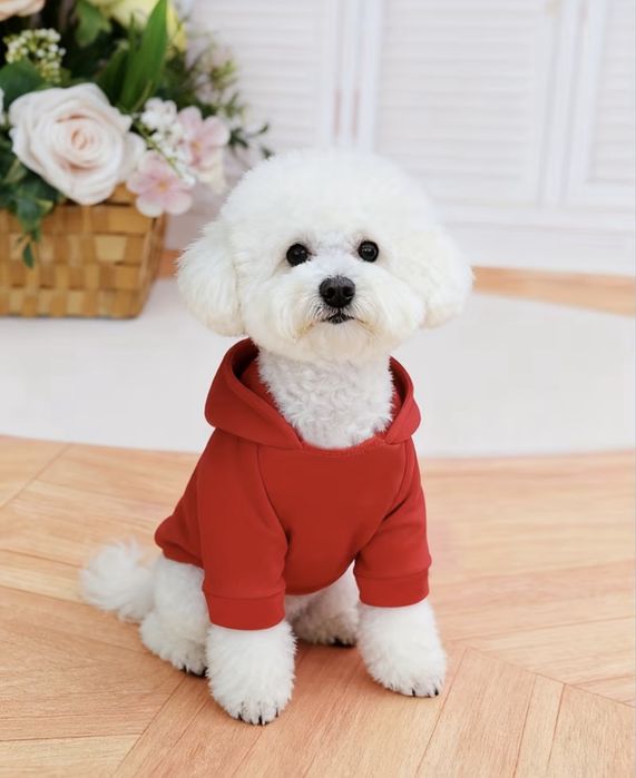 Модерни дрехи за кучета: Суичъри (Худита) с надписи, Пуловер (S, M)