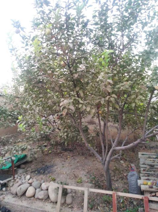 Продается Коттедж