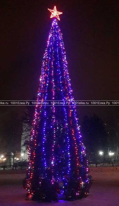 Ёлки на любой вкус цвет и высоту тока у нас от 2метра до 30метра