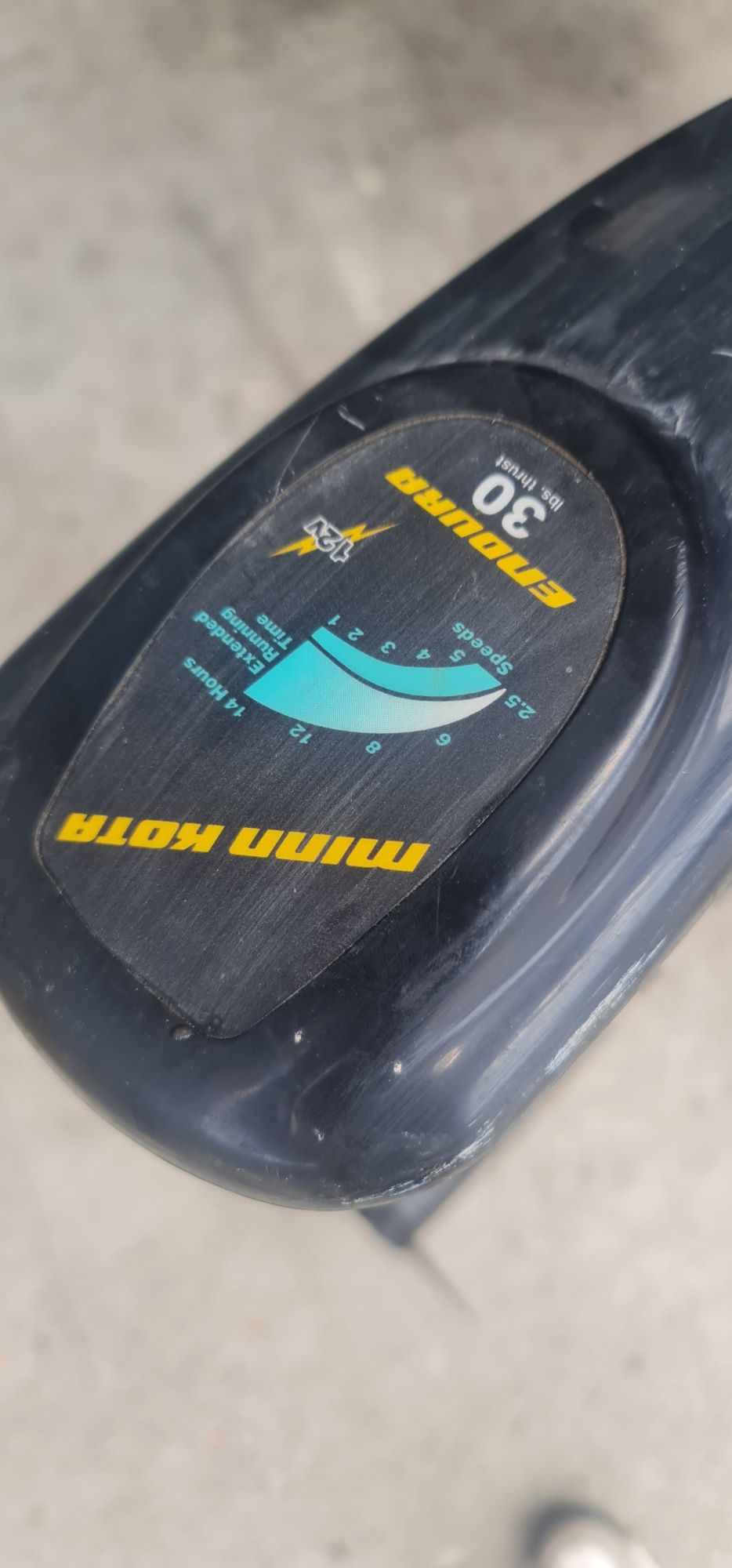 Motor electric barca Minn Kota New Endura 30lbs C2 12v