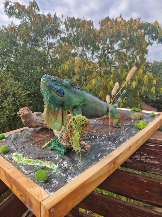 Iguana exotica impaiata