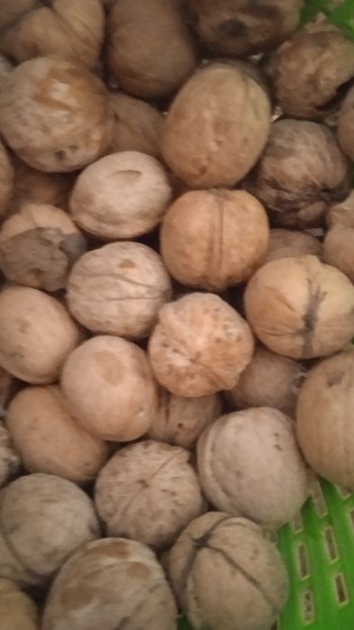 Орехи грецкие ..