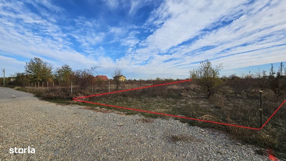 Teren intravilan 1519 mp Clinceni Ilfov toate utilitatile la asfalt