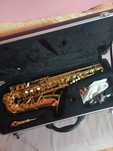 Vand saxofon alto parrot 6430L
