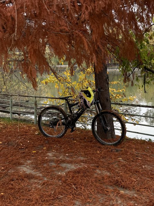 Canyon Torque full suspension