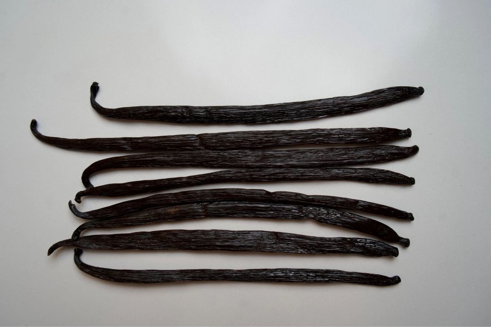 Vand pastai vanilie Zanzibar 1kg