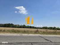 Teren intravilan de vanzare – 2.500 mp – Mosoaia
