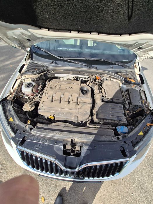 Vand Skoda Octavia