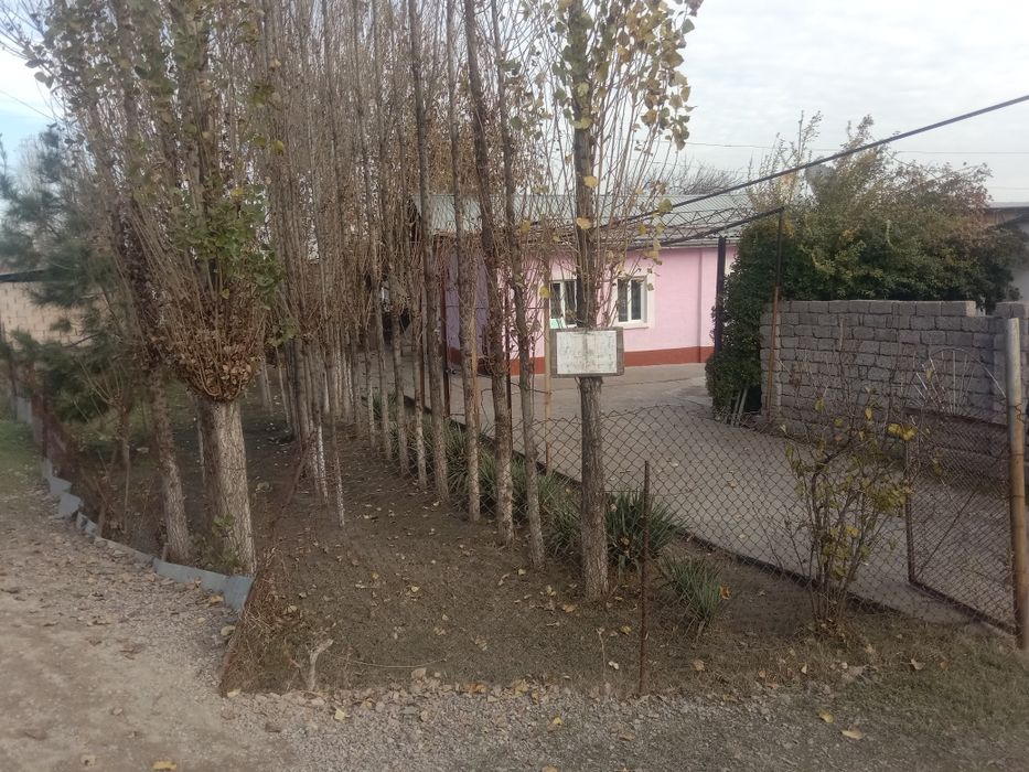 Тайор 15 сотихли хонадон срочна сотилвотти