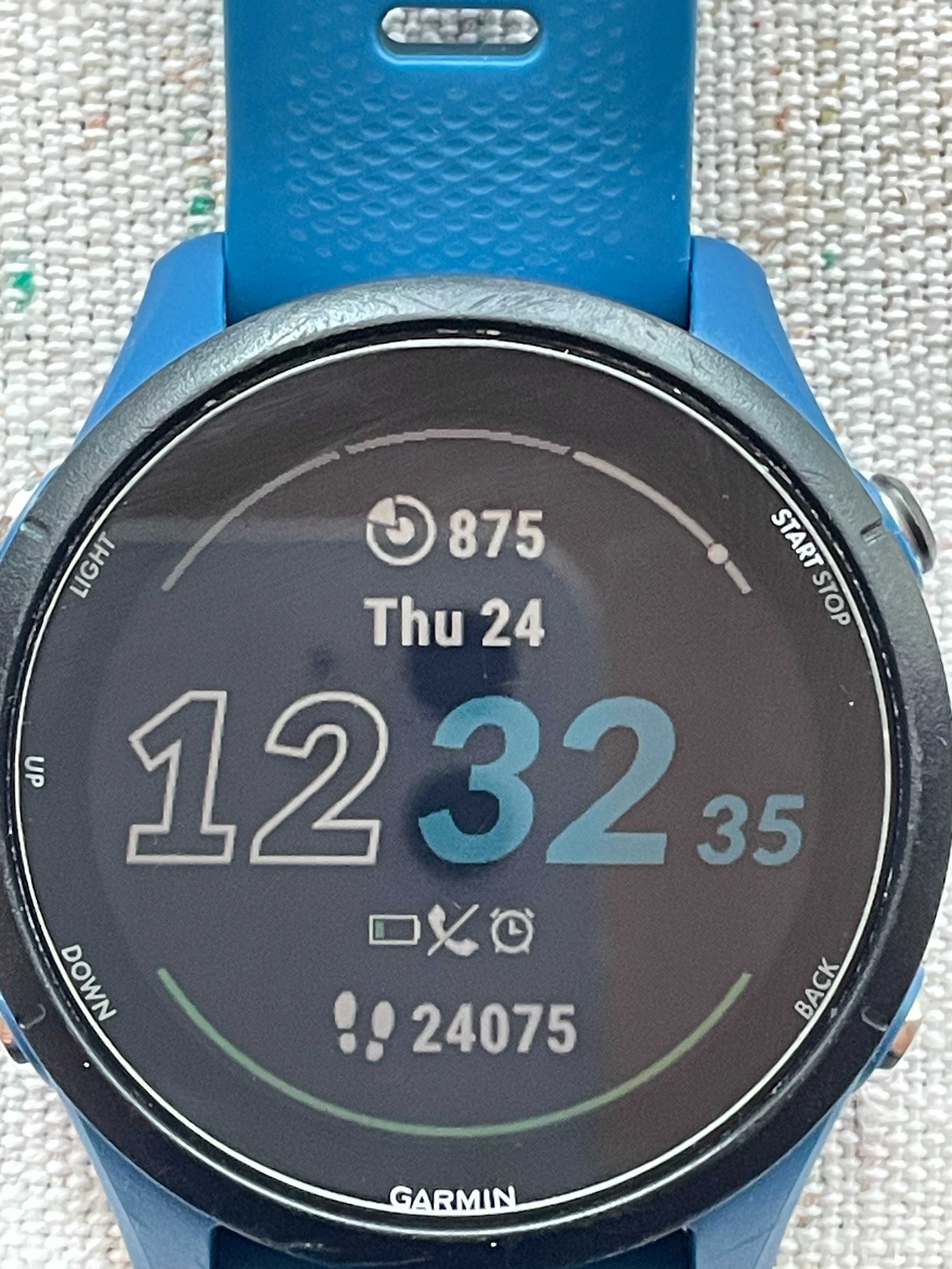 Garmin Forerunner 255
