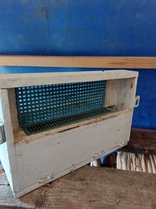 Vand colectoare polen