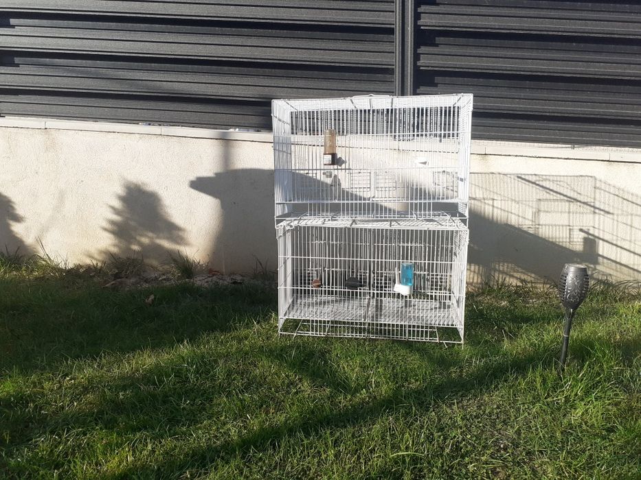 Cuști pentru papagali