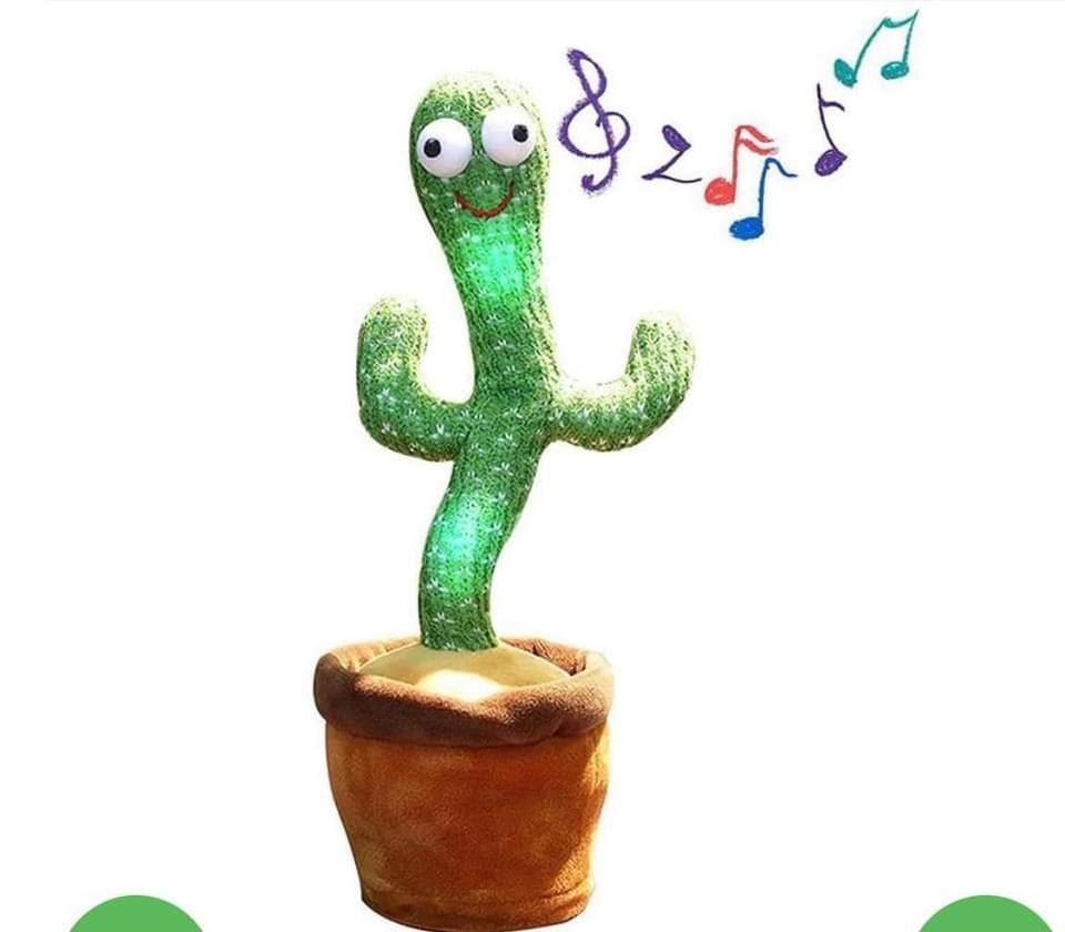 Cactus dansator si cantaret