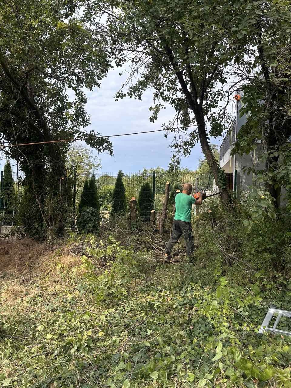 Рязане на дървета, извозване на разстителни отпадаци, услуги с мулчер