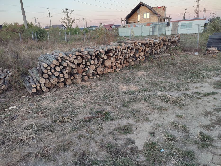 Lemne in Pitești
