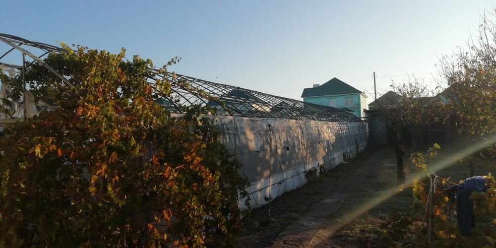Теплица,   парник