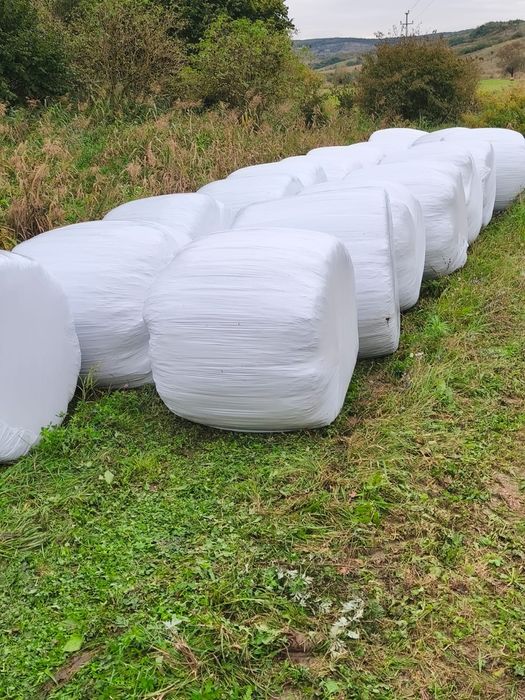 Vand baloti de fan infoliati